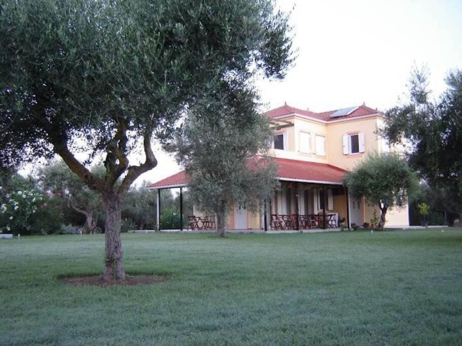 Phyllida Guest House - A2 Захаро Экстерьер фото